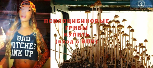 кокс Бородино