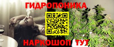 молекула духа Можга