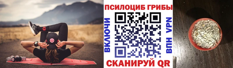 Галлюциногенные грибы Magic Shrooms  MEGA онион  Среднеуральск  продажа наркотиков 