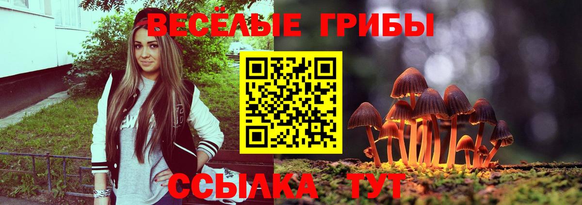 Псилоцибиновые грибы мухоморы  Галлюциногенные грибы Psilocybe  даркнет сайт  Вход с VPN  Среднеуральск 
