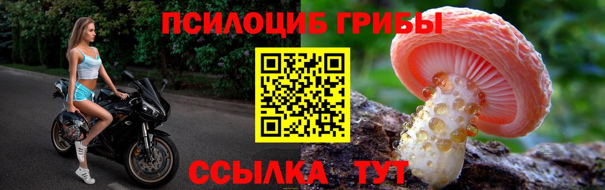Галлюциногенные грибы ЛСД Среднеуральск